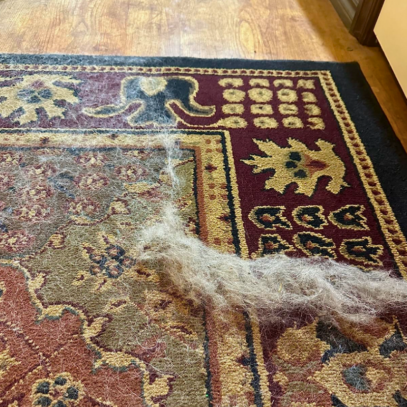 Éliminateur de poils d’animaux